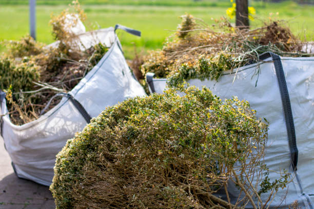 Reliable Locust Grove, GA Junk Removal Solutions